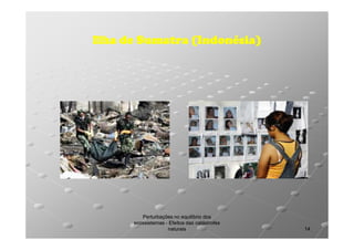 Ilha de Sumatra (Indonésia)

Perturbações no equilíbrio dos
ecossistemas - Efeitos das catástrofes
naturais

14

 