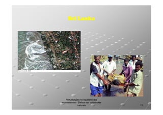 Sri Lanka

Perturbações no equilíbrio dos
ecossistemas - Efeitos das catástrofes
naturais

15

 