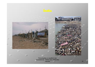 Índia

Perturbações no equilíbrio dos
ecossistemas - Efeitos das catástrofes
naturais

16

 