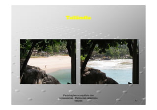 Tailândia

Perturbações no equilíbrio dos
ecossistemas - Efeitos das catástrofes
naturais

17

 