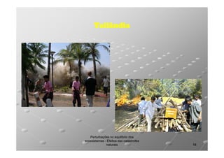 Tailândia

Perturbações no equilíbrio dos
ecossistemas - Efeitos das catástrofes
naturais

18

 