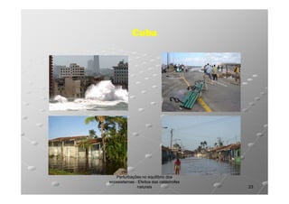 Cuba

Perturbações no equilíbrio dos
ecossistemas - Efeitos das catástrofes
naturais

23

 