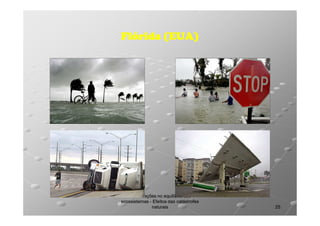 Flórida (EUA)

Perturbações no equilíbrio dos
ecossistemas - Efeitos das catástrofes
naturais

25

 