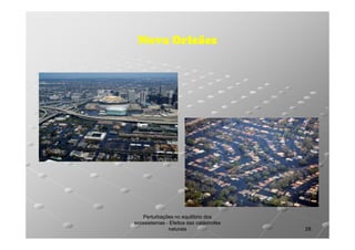 Nova Orleães

Perturbações no equilíbrio dos
ecossistemas - Efeitos das catástrofes
naturais

28

 