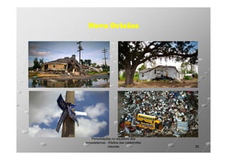 Nova Orleães

Perturbações no equilíbrio dos
ecossistemas - Efeitos das catástrofes
naturais

29

 