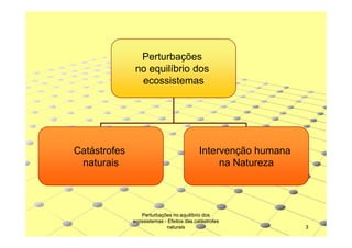 Perturbações
no equilíbrio dos
ecossistemas

Catástrofes
naturais

Intervenção humana
na Natureza

Perturbações no equilíbrio dos
ecossistemas - Efeitos das catástrofes
naturais

3

 