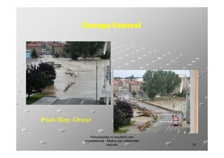 Europa Central

Písek (Rep. Checa)
Perturbações no equilíbrio dos
ecossistemas - Efeitos das catástrofes
naturais

31

 