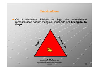 Incêndios
Os 3 elementos básicos do fogo são normalmente
representados por um triângulo, conhecido por Triângulo do
Fogo.
Fogo.

Calor

Perturbações no equilíbrio dos
ecossistemas - Efeitos das catástrofes
naturais

39

 