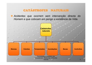 CATÁSTROFES NATURAIS
Acidentes que ocorrem sem intervenção directa do
Homem e que colocam em perigo a existência da Vida.
Vida.

Catástrofes
naturais

Sismos

Vulcões

Tempestades

Inundações

Perturbações no equilíbrio dos
ecossistemas - Efeitos das catástrofes
naturais

Secas

Incêndios

4

 