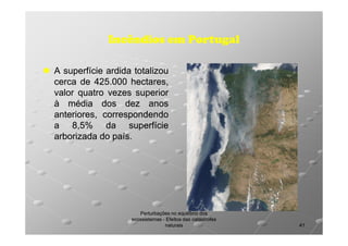 Incêndios em Portugal
A superfície ardida totalizou
cerca de 425.000 hectares,
425.
valor quatro vezes superior
à média dos dez anos
anteriores, correspondendo
a 8,5% da superfície
arborizada do país.
país.

Perturbações no equilíbrio dos
ecossistemas - Efeitos das catástrofes
naturais

41

 