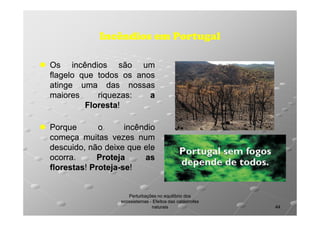 Incêndios em Portugal
Os incêndios são um
flagelo que todos os anos
atinge uma das nossas
maiores
riquezas:
riquezas:
a
Floresta!
Floresta!
Porque
o
incêndio
começa muitas vezes num
descuido, não deixe que ele
ocorra.
ocorra.
Proteja
as
florestas! Proteja-se!
florestas! Proteja-se!

Perturbações no equilíbrio dos
ecossistemas - Efeitos das catástrofes
naturais

44

 
