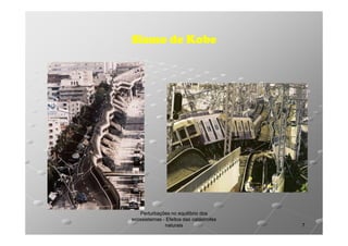 Sismo de Kobe

Perturbações no equilíbrio dos
ecossistemas - Efeitos das catástrofes
naturais

7

 