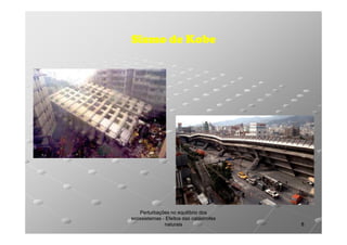 Sismo de Kobe

Perturbações no equilíbrio dos
ecossistemas - Efeitos das catástrofes
naturais

8

 