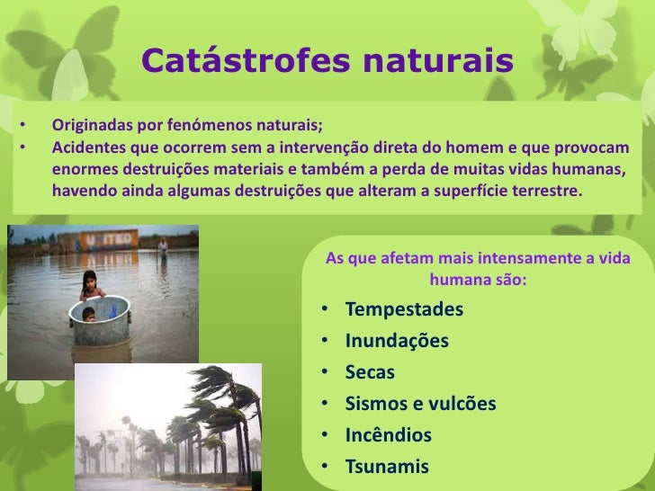 Como A Atuação Humana Interfere No Equilibrio Ecológico Do Cerrado