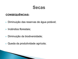 CONSEQUÊNCIAS:
 Diminuição das reservas de água potável;
 Incêndios florestais;
 Diminuição da biodiversidade;
 Queda da produtividade agrícola;
 