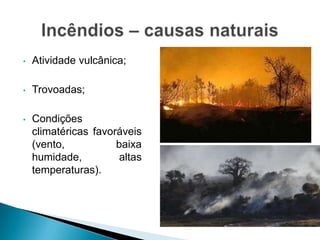 • Atividade vulcânica;
• Trovoadas;
• Condições
climatéricas favoráveis
(vento, baixa
humidade, altas
temperaturas).
 