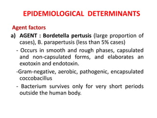 EPIDEMIOLOGICAL DETERMINANTS
Agent factors
a) AGENT : Bordetella pertusis (large proportion of
cases), B. parapertusis (less than 5% cases)
- Occurs in smooth and rough phases, capsulated
and non-capsulated forms, and elaborates an
exotoxin and endotoxin.
-Gram-negative, aerobic, pathogenic, encapsulated
coccobacillus
- Bacterium survives only for very short periods
outside the human body.
 