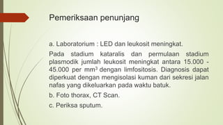 Pemeriksaan penunjang
a. Laboratorium : LED dan leukosit meningkat.
Pada stadium kataralis dan permulaan stadium
plasmodik jumlah leukosit meningkat antara 15.000 -
45.000 per mm3 dengan limfositosis. Diagnosis dapat
diperkuat dengan mengisolasi kuman dari sekresi jalan
nafas yang dikeluarkan pada waktu batuk.
b. Foto thorax, CT Scan.
c. Periksa sputum.
 