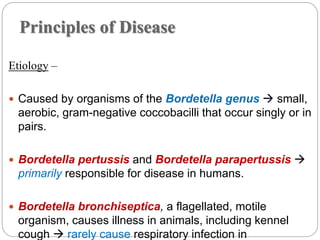Principles of Disease
Etiology –
 Caused by organisms of the Bordetella genus  small,
aerobic, gram-negative coccobacilli that occur singly or in
pairs.
 Bordetella pertussis and Bordetella parapertussis 
primarily responsible for disease in humans.
 Bordetella bronchiseptica, a flagellated, motile
organism, causes illness in animals, including kennel
cough  rarely cause respiratory infection in
 
