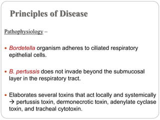 Principles of Disease
Pathophysiology –
 Bordetella organism adheres to ciliated respiratory
epithelial cells.
 B. pertussis does not invade beyond the submucosal
layer in the respiratory tract.
 Elaborates several toxins that act locally and systemically
 pertussis toxin, dermonecrotic toxin, adenylate cyclase
toxin, and tracheal cytotoxin.
 