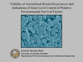 Viability of Aerosolized  Bordetella pertussis  and Indications of Gene Level Control of Putative Environmental Survival Factors Kevin M. McCabe, Ph.D. University of Colorado at Boulder Department of Civil, Environmental, and Architectural Engineering 