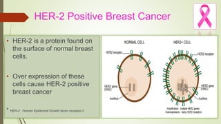 Pertuzumab: A novel humanized mAb for the treatment of HER2 positive ...