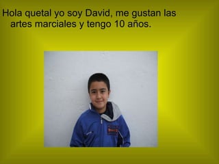 Hola quetal yo soy David, me gustan las artes marciales y tengo 10 años. 