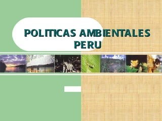POLITICAS AMBIENTALES PERU 