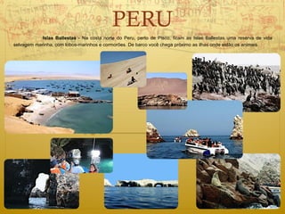 PERU
            Islas Ballestas - Na costa norte do Peru, perto de Pisco, ficam as Islas Ballestas uma reserva de vida
selvagem marinha, com lobos-marinhos e cormorões. De barco você chega próximo as ilhas onde estão os animais.
 