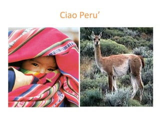 Ciao Peru’
 