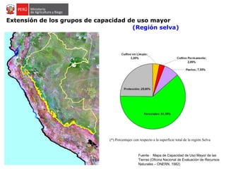 (*) Porcentajes con respecto a la superficie total de la región Selva
Extensión de los grupos de capacidad de uso mayor
(Región selva)
Fuente : Mapa de Capacidad de Uso Mayor de las
Tierras (Oficina Nacional de Evaluación de Recursos
Naturales – ONERN, 1982)
 
