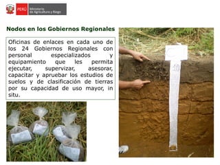 Nodos en los Gobiernos Regionales
Oficinas de enlaces en cada uno de
los 24 Gobiernos Regionales con
personal especializados y
equipamiento que les permita
ejecutar, supervizar, asesorar,
capacitar y apruebar los estudios de
suelos y de clasificación de tierras
por su capacidad de uso mayor, in
situ.
 