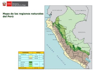 Mapa de las regiones naturales
del Perú
 