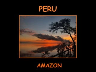 PERU AMAZON 