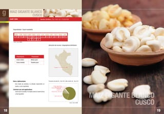 19
Nombre Científico: Zea maiz var. Urubamba
Gran fuente de proteínas, es utilizado mayormente en
snacks y como ingrediente.
Great source of protein, it is mainly used as a snack and as
a food ingredient.
Usos y Aplicaciones:
Common use and applications:
GIANT CORN
18
Grano entero
Grano tostado
Whole grain
Toasted grain
ENE
JAN
FEB
FEB
MAR
MAR
ABR
APR
MAY
MAY
JUN
JUN
JUL
JUL
AGO
AUG
SET
SET
OCT
OCT
NOV
NOV
DIC
DEC
• Cusco
MAIZ GIGANTE BLANCO
CUSCO
MAIZ GIGANTE BLANCO
CUSCO
Disponibilidad / Export availability
Ubicación del recurso / Geographical distribution:

Fuente / Source: SUNAT
Presentación Presentation
g
Estados Unidos / USA 5,67%
Japón / Japan 21,46%
Ecuador; 4,79%
República Siria Arabe 1,30%
China 0,68%
Otros / Others 0,87%
España / Spain 65,23%
Principales mercados Ene. ˆ Ago. 2010 / Main markets Jan. ˆ Aug. 2010
Fuente / Source: MINAG
 