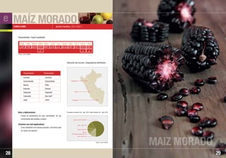 MAÍZ MORADO
MAIZ MORADO
29
Nombre Científico: Zea mays L
Fuente de antocianinas de valor antioxidante. Se usa
comúnmente para bebidas y postres.
It has antioxidant and coloring properties. Commonly used
for drinks and desserts.
Usos y Aplicaciones:
Common use and applications:
PURPLE CORN
28
Coronta
Concentrado
Harina
Extracto
Cápsulas
Colorante
Jugo
Corncob
Concentrate
Flour
Extract
Capsules
Dye stuff
Juice
• Lima
• Arequipa
• Cajamarca
ENE
JAN
FEB
FEB
MAR
MAR
ABR
APR
MAY
MAY
JUN
JUN
JUL
JUL
AGO
AUG
SET
SET
OCT
OCT
NOV
NOV
DIC
DEC
X
Disponibilidad / Export availability
Ubicación del recurso / Geographical distribution:
  
Presentación Presentation
Fuente / Source: SUNAT
Japón / Japan 14%
Estados Unidos / USA 58%
España / Spain 8%
Chile 5%
Otros / Others 12%
Paises Bajos / Netherlands 2%
e
Principales mercados Ene. ˆ Ago. 2010 / Main markets Jan. ˆ Aug. 2010
Fuente / Source: MINAG
 