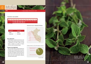 MUÑA
MUÑA
33
Nombre Científico: Minthostachys mollis
Excelente digestivo y complemento alimenticio por su alto
contenido de Calcio y Fósforo que favorece el crecimiento
y mantenimiento de los huesos y dientes. Las hojas
también se emplean en la curación de fracturas,
luxaciones y tumores ocasionados por golpes.
Muña is the oldest method for preserving potatoes since
pre-Hispanic times. Its properties allows it to be used as
an excellent digestive and food supplement thanks to its
high Calcium and Phosphorus content which helps the
growth of bones and teeth and keeps them healthy. The
leaves are also used for healing fractures, dislocations
and bruises produced by blows.
Usos y Aplicaciones:
Common use and applications:
MUÑA
32
Molida
Hojas secas
Ground
Dry leaves
ENE
JAN
FEB
FEB
MAR
MAR
ABR
APR
MAY
MAY
JUN
JUN
JUL
JUL
AGO
AUG
SET
SET
OCT
OCT
NOV
NOV
DIC
DEC
• Junín
• Cajamarca
• La Libertad
• Huánuco
• Piura
• Amazonas
• Arequipa
• Cusco
• Puno
• Lima
   
Disponibilidad / Export availability
Ubicación del recurso / Geographical distribution:
Fuente / Source: SUNAT
Presentación Presentation
o
Principales mercados Ene. ˆ Ago. 2010 / Main markets Jan. ˆ Aug. 2010
Estados Unidos / USA 1,83%
Alemania / Germany 85,38%
República Checa 8,93%
Reino Unido / UK 3,87%
Fuente / Source: MINAG
 
