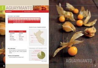 AGUAYMANTO
AGUAYMANTO
7
Nombre Científico: Physalis peruviana
Rico en pro vitamina A y C. Se usa tradicionalmente como
sedante, contra la tos, fiebre y presenta propiedades
diuréticas.
The fruit is extremely rich in pro vitamin A and C.
Disponibilidad / Export availability
Ubicación del recurso / Geographical distribution:
Principales mercados Ene. ˆ Ago. 2010 / Main markets Jan. ˆ Aug. 2010
Fuente / Source: SUNAT
Fuente / Source: MINAG
Usos y aplicaciones:
Common use and applications:
GOLDEN BERRY
6
Deshidratada
Néctar
Mermelada
Fruta fresca
Pulpa congelada
Dehydrated
Nectar
Jams or syrup
Fresh fruit
Frozen pulp
Presentación Presentation
• Cajamarca
• Áncash
• Ayacucho
• Cusco
ENE
JAN
FEB
FEB
MAR
MAR
ABR
APR
MAY
MAY
JUN
JUN
JUL
JUL
AGO
AUG
SET
SET
OCT
OCT
NOV
NOV
DIC
DEC
   
f
Estados Unidos / USA 31,58%
Finlandia / Finland 7,97%
Canadá / Canada13,08%
Suecia / Sweden 6,20%
Otros / Others 6,26%
Alemania / Germany 16,58%
Reino Unido / UK 18,33%
 