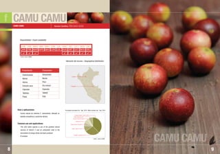 CAMU CAMU
CAMU CAMU
9
Nombre Científico: Myrciaria dubia
Fuente natural de vitamina C, antioxidante, utilizado en
bebidas energéticas y productos lácteos.
This wild native species is one of the greatest natural
sources of vitamin C and an antioxidant used in the
formulation of energy drinks and dairy products.
B complex.
Usos y aplicaciones:
Common use and applications:
CAMU CAMU
• Loreto
• Ucayali
Ubicación del recurso / Geographical distribution:
Fuente / Source: SUNAT
f
Deshidratada
Néctar
Harina
Extracto seco
Cápsulas
Tabletas
Pulpa
Dehydrated
Nectar
Flour
Dry extract
Capsules
Tablets
Pulp
Presentación Presentation
ENE
JAN
FEB
FEB
MAR
MAR
ABR
APR
MAY
MAY
JUN
JUN
JUL
JUL
AGO
AUG
SET
SET
OCT
OCT
NOV
NOV
DIC
DEC
      
Disponibilidad / Export availability
8
Estados Unidos / USA 37,78%
Canadá / Canada 27,14%
Japón / Japan 10,47%
Reino Unido / UK 6,67%
Australia 5,77%
Francia / France 4,04%
Otros / Others 8,12%
Principales mercados Ene. ˆ Ago. 2010 / Main markets Jan. ˆ Aug. 2010
Fuente / Source: MINAG
 