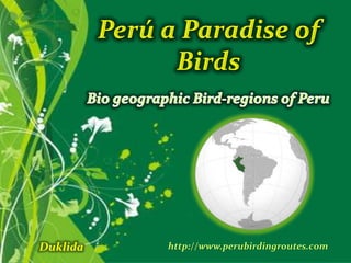 Perú a Paradise of Birds,[object Object],Bio geographic Bird-regions of Peru,[object Object],Duklida,[object Object],http://www.perubirdingroutes.com,[object Object]