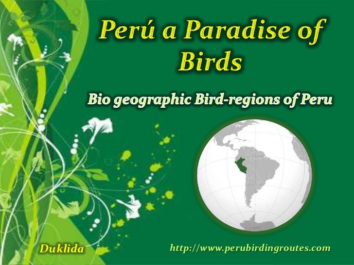 Perú a Paradise of Birds<br />Bio geographic Bird-regions of Peru<br />Duklida<br />http://www.perubirdingroutes.com<br />