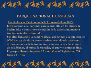 Fue declarado Patrimonio de la Humanidad en 1985.
El Huascarán es el segundo parque más alto en los Andes de
Sudamérica y constituye el corazón de la cadena montañosa
tropical más alta del mundo.
Sus altas llanuras y la cumbre glacial del nevado que superan los
6000 metros de altura, son el ambiente en donde conviven
diversas especies de fauna como el cóndor, la vicuña, el ciervo
de cola blanca, el puma, la vizcacha, el gato y el zorro andino.
El parque Huascarán posee 27 montañas, 663 glaciares, 269
lagos y 41 ríos.
PARQUE NACIONAL HUASCARAN
 