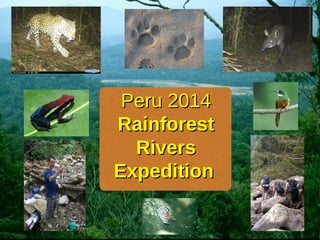 Peru 2014Peru 2014
RainforestRainforest
RiversRivers
ExpeditionExpedition
 