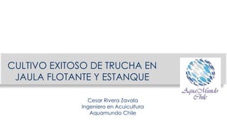 CULTIVO EXITOSO DE TRUCHA EN
JAULA FLOTANTE Y ESTANQUE
Cesar Rivera Zavala
Ingeniero en Acuicultura
Aquamundo Chile
 