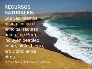PLAYA EN ICA RESERVA DE PARACA
RECURSOS
NATURALES:
Los yacimientos
minerales es el
principal recurso
natural de Perú,
incluyen petróleo,
cobre, plata, hierro,
oro y zinc entre
otros.
 