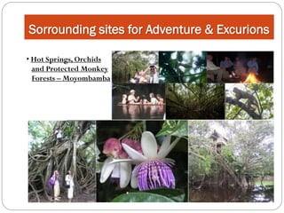 Sorrounding sites for Adventure & Excurions

• Hot Springs, Orchids
  and Protected Monkey
  Forests – Moyombamba
 
