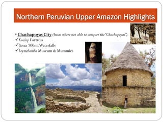 Northern Peruvian Upper Amazon Highlights

• Chachapoyas City (Incas where not able to conquer the “Chachapoyas”).
Kuelap Fortress
Gocta 700m. Waterfalls
Leymebamba Museum & Mummies
 