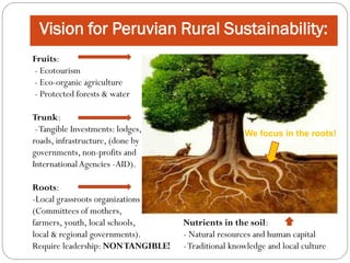 Vision for Peruvian Rural Sustainability:
Fruits:
- Ecotourism
- Eco-organic agriculture
- Protected forests & water

Trunk:
 - Tangible Investments: lodges,                     We focus in the roots!
roads, infrastructure, (done by
governments, non-profits and
International Agencies -AID).

Roots:
-Local grassroots organizations
(Committees of mothers,
farmers, youth, local schools,      Nutrients in the soil:
local & regional governments).      - Natural resources and human capital
Require leadership: NON TANGIBLE!   - Traditional knowledge and local culture
 