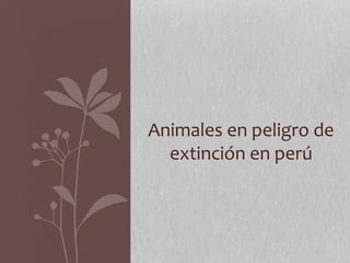 Animales en peligro de
extinción en perú
 