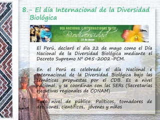 8.- El día Internacional de la Diversidad
Biológica
El Perú, declaró el día 22 de mayo como el Día
Nacional de la Diversidad Biológica mediante el
Decreto Supremo Nº 045-2002-PCM.
En el Perú es celebrado el día Nacional e
Internacional de la Diversidad Biológica bajo las
temáticas propuestas por el CDB. Es a nivel
nacional, y se coordinan con las SERs (Secretarias
ejecutivas regionales de CONAM)
Todo nivel de público: Políticos, tomadores de
decisiones, científicos, jóvenes y niños
 
